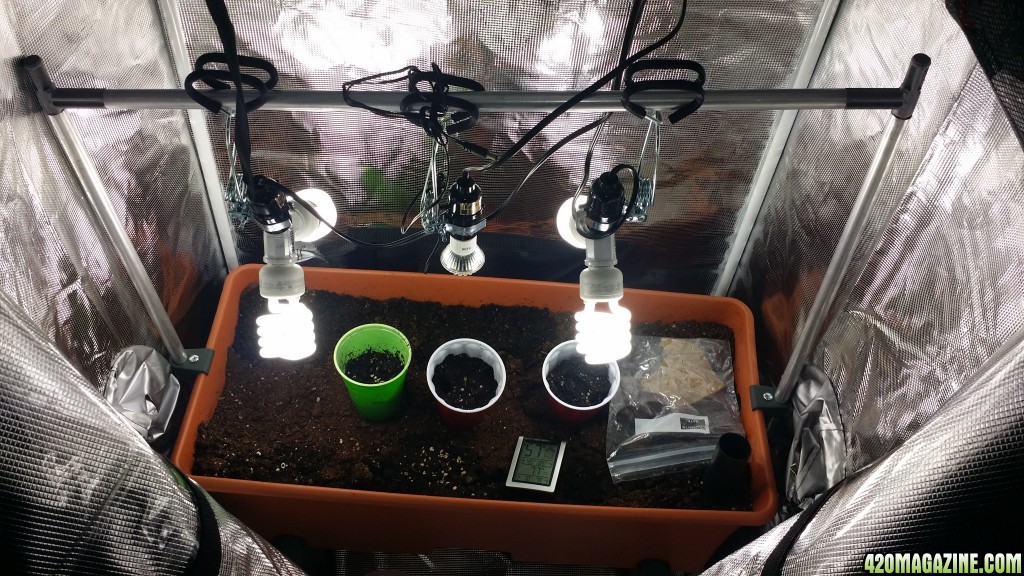 grow room set up