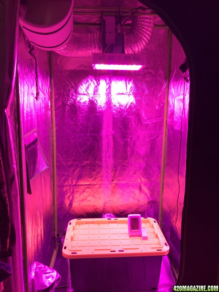 Grow room startup