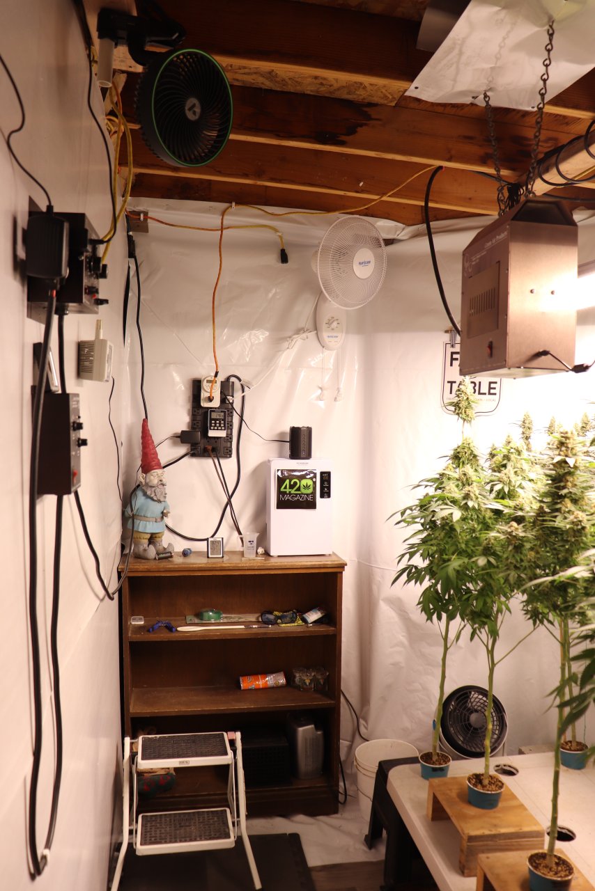 Grow Room Ventilation and Exhaust Fans