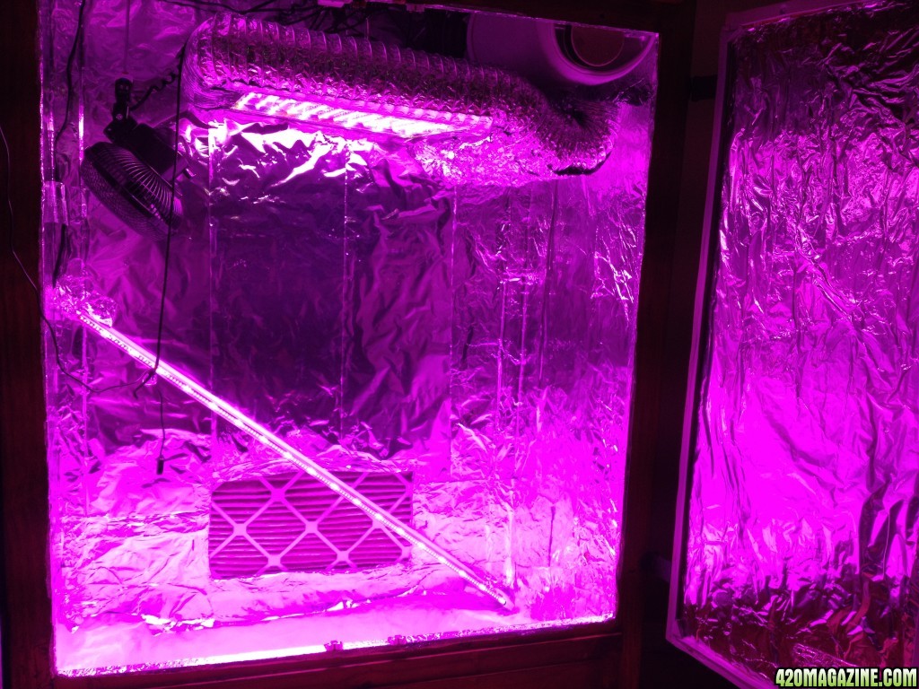 Grow room w LEDs on