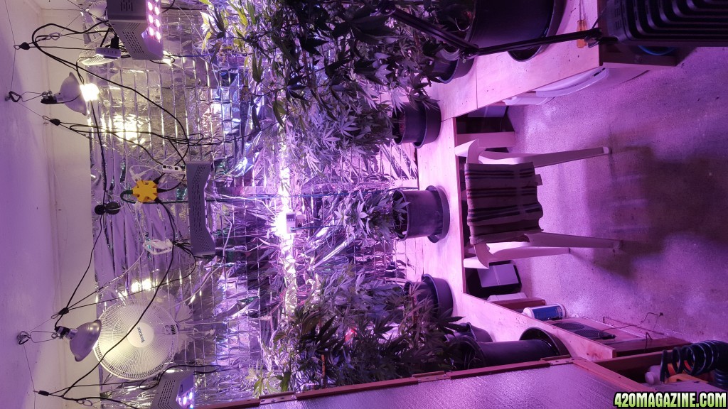 Grow Room