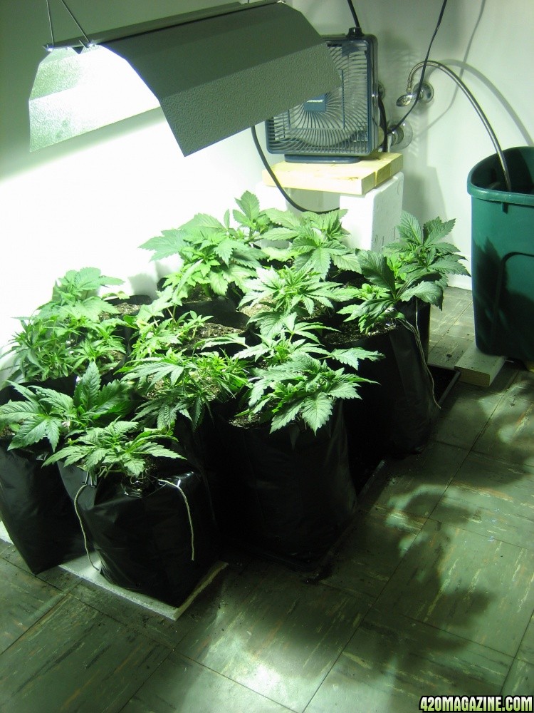 Grow room