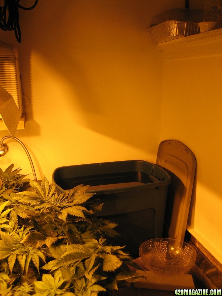 Grow room