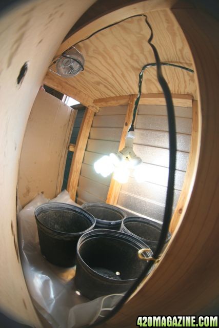 Grow Room