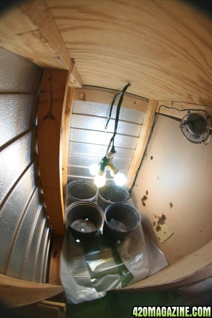 Grow Room