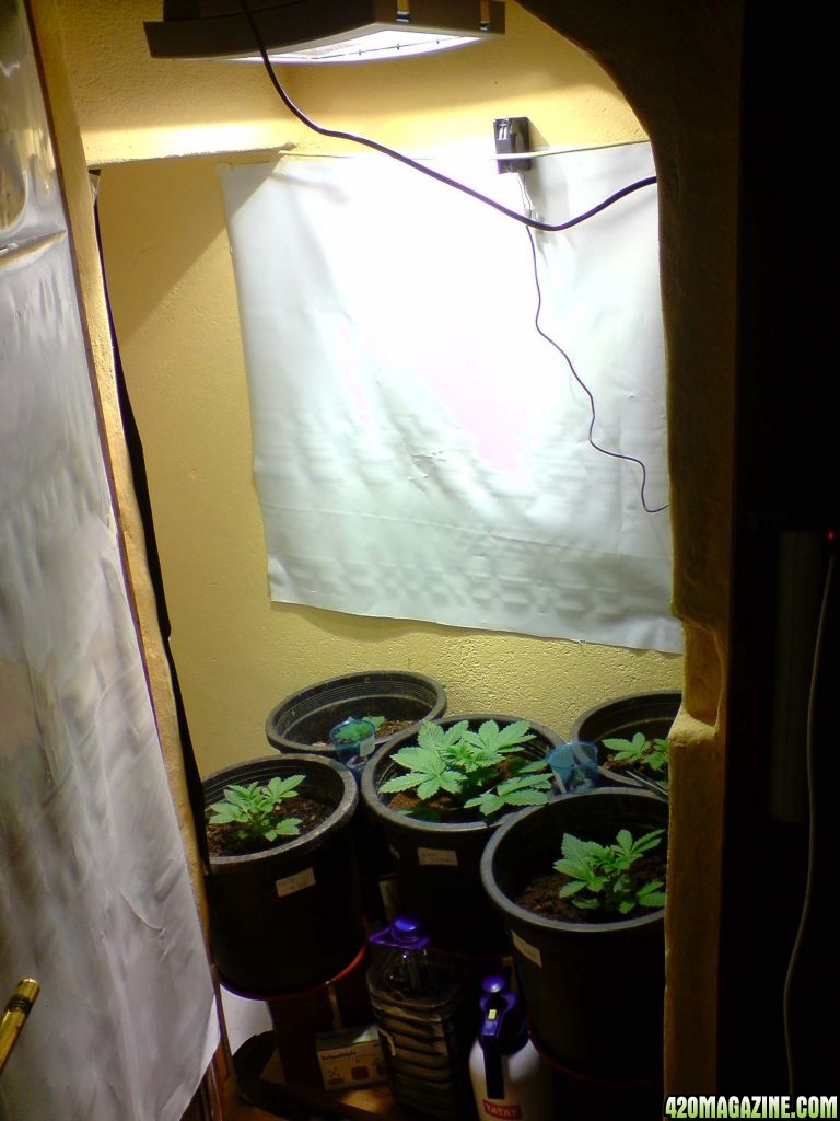 grow room