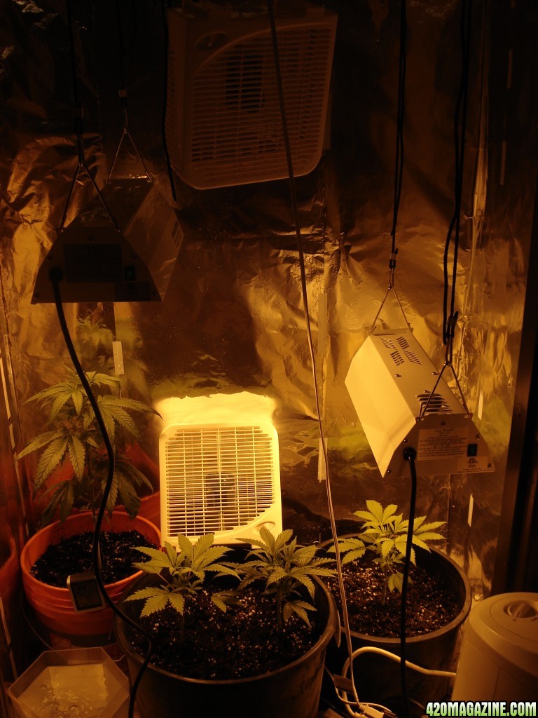 Grow Room