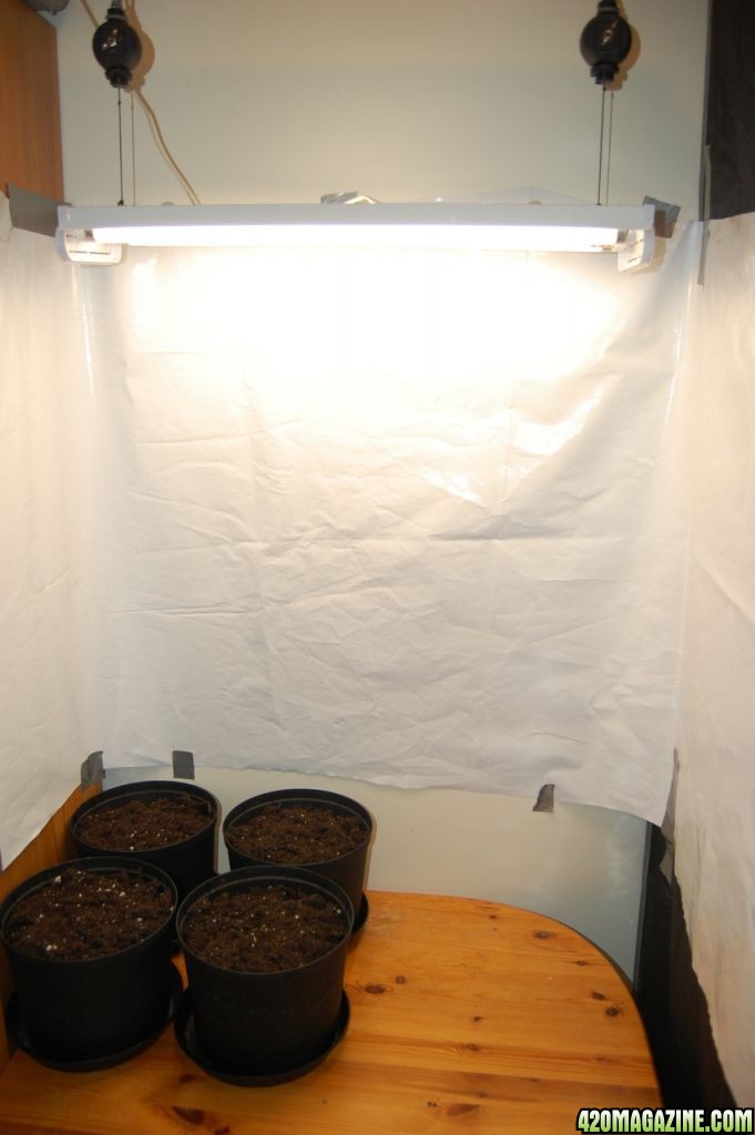 Grow room