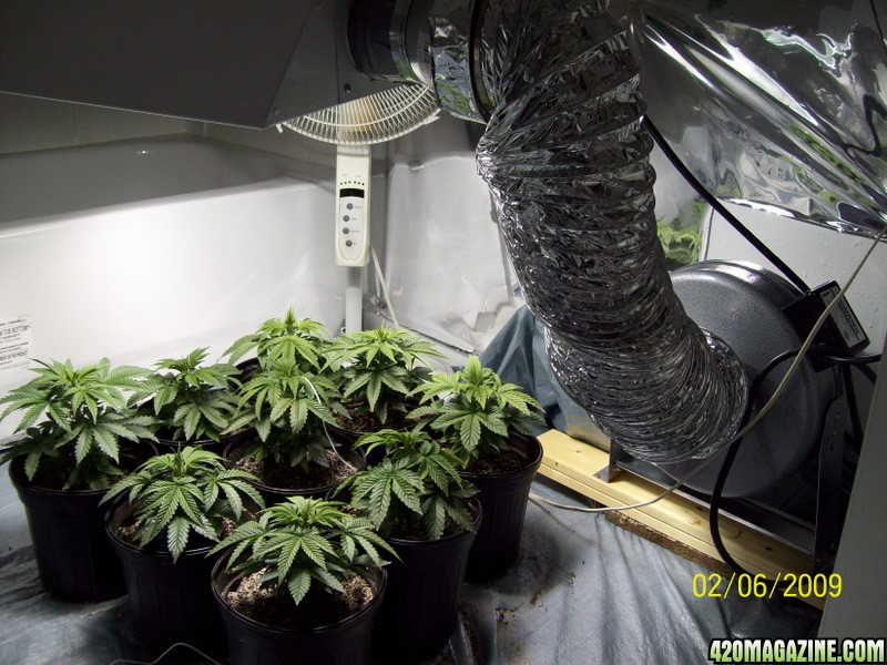 grow room