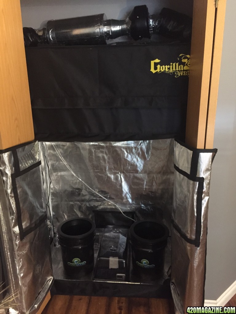 Grow Setup