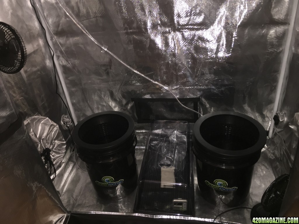 Grow Setup