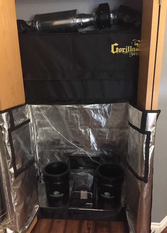 Grow Setup