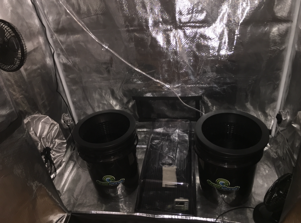 Grow Setup