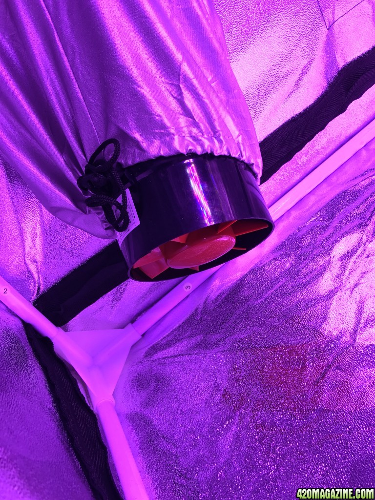 Grow setup