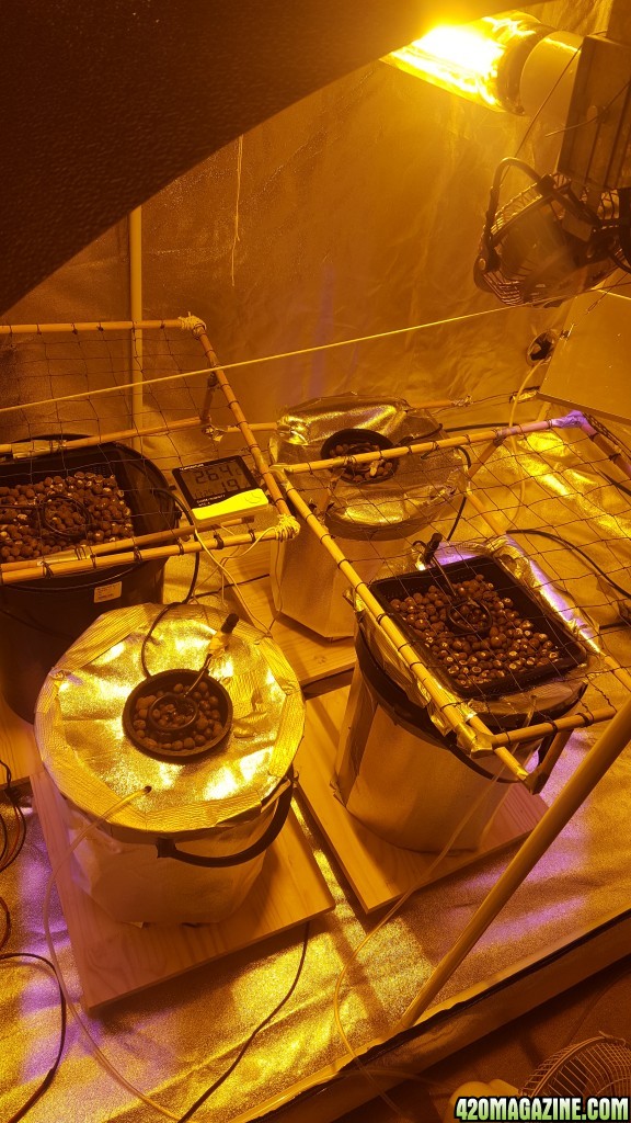 Grow setup