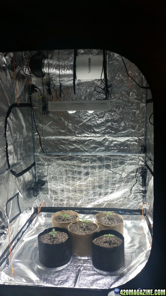 grow setup