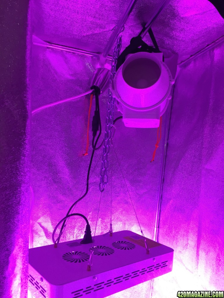 Grow Tent 2015