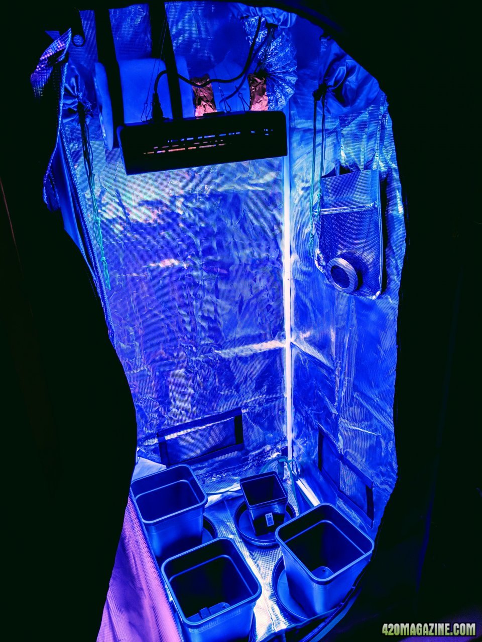 Grow tent lights on