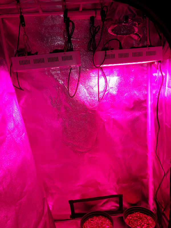 Grow tent