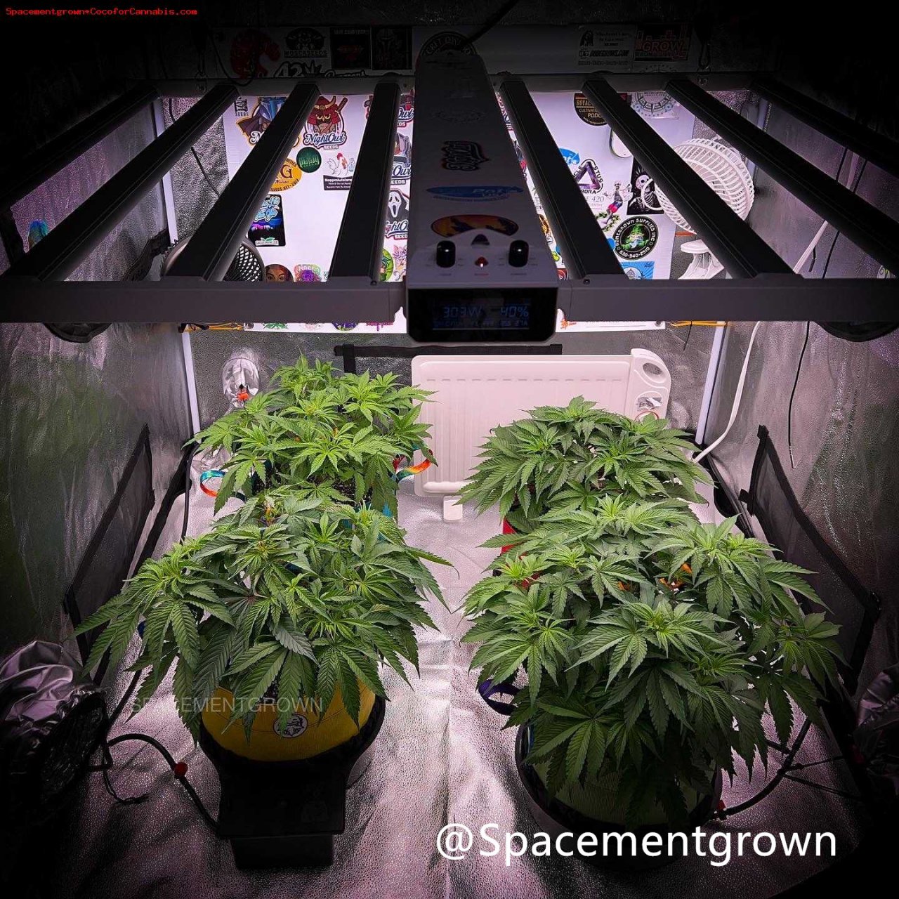 grow-with-medicgrow-smart8-spacementgrown-20220212-7.jpeg