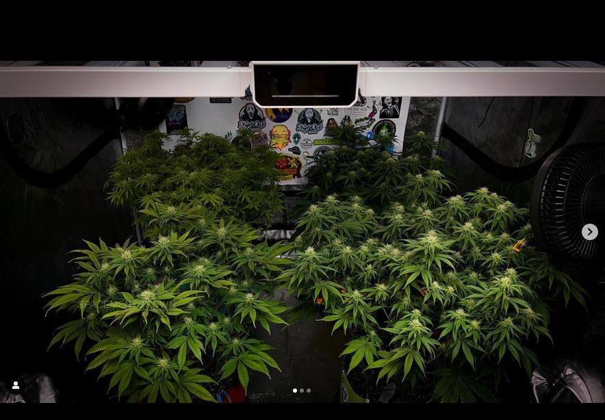 grow-with-medicgrow-smart8-spacementgrown-day23flower-13.jpg