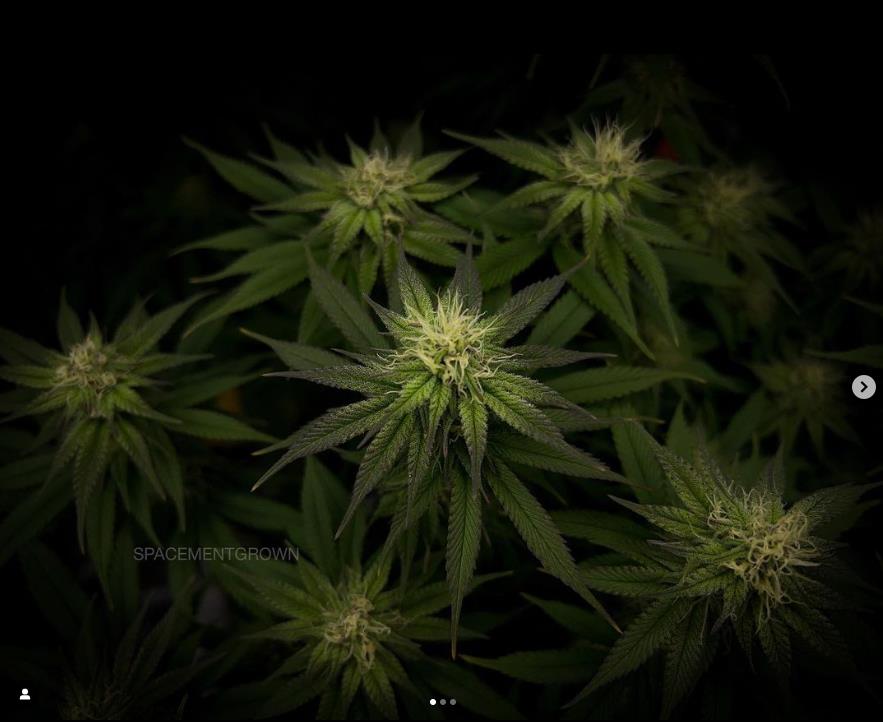 grow-with-medicgrow-smart8-spacementgrown-day28flower-3.jpg