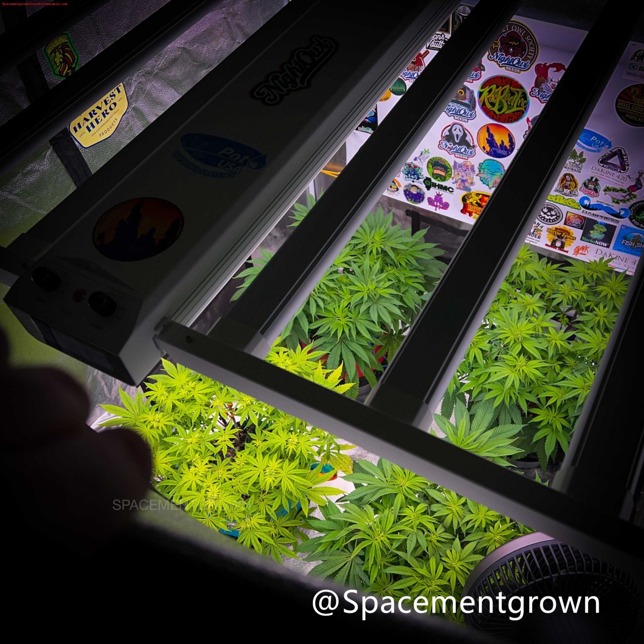 grow-with-medicgrow-smart8-spacementgrown-flipped.jpg