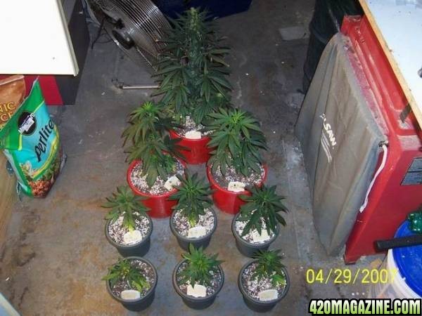 grow42907_012