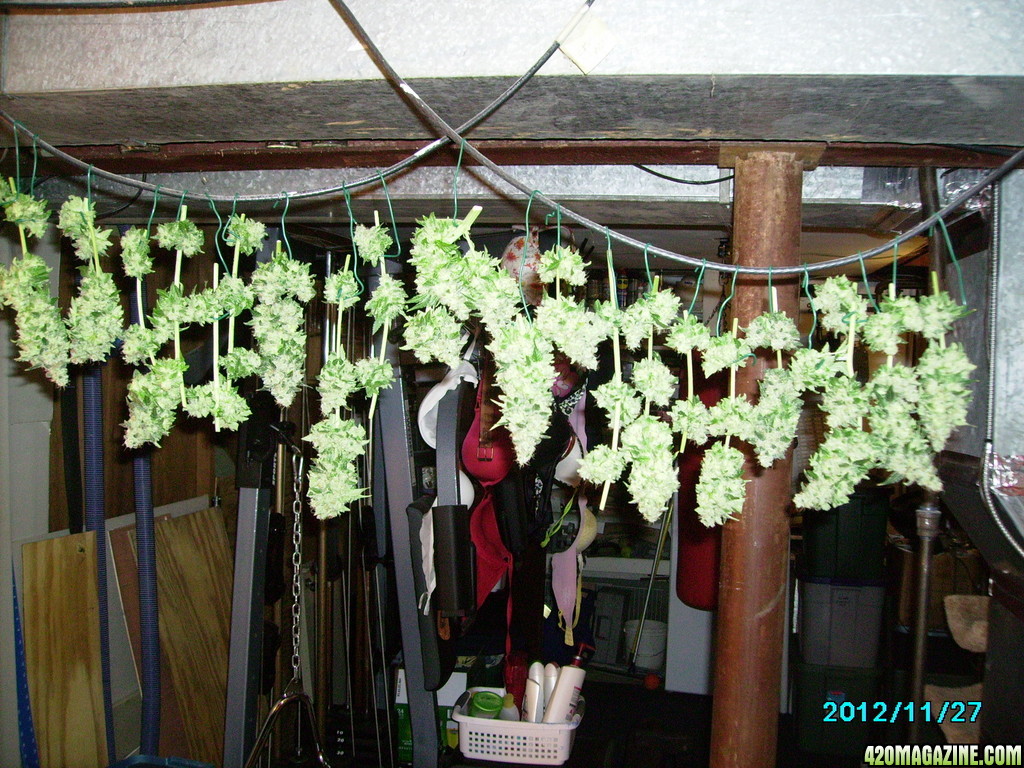 Grow_2012_sept_053