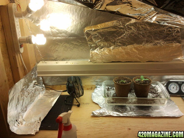 GrowBox in progress