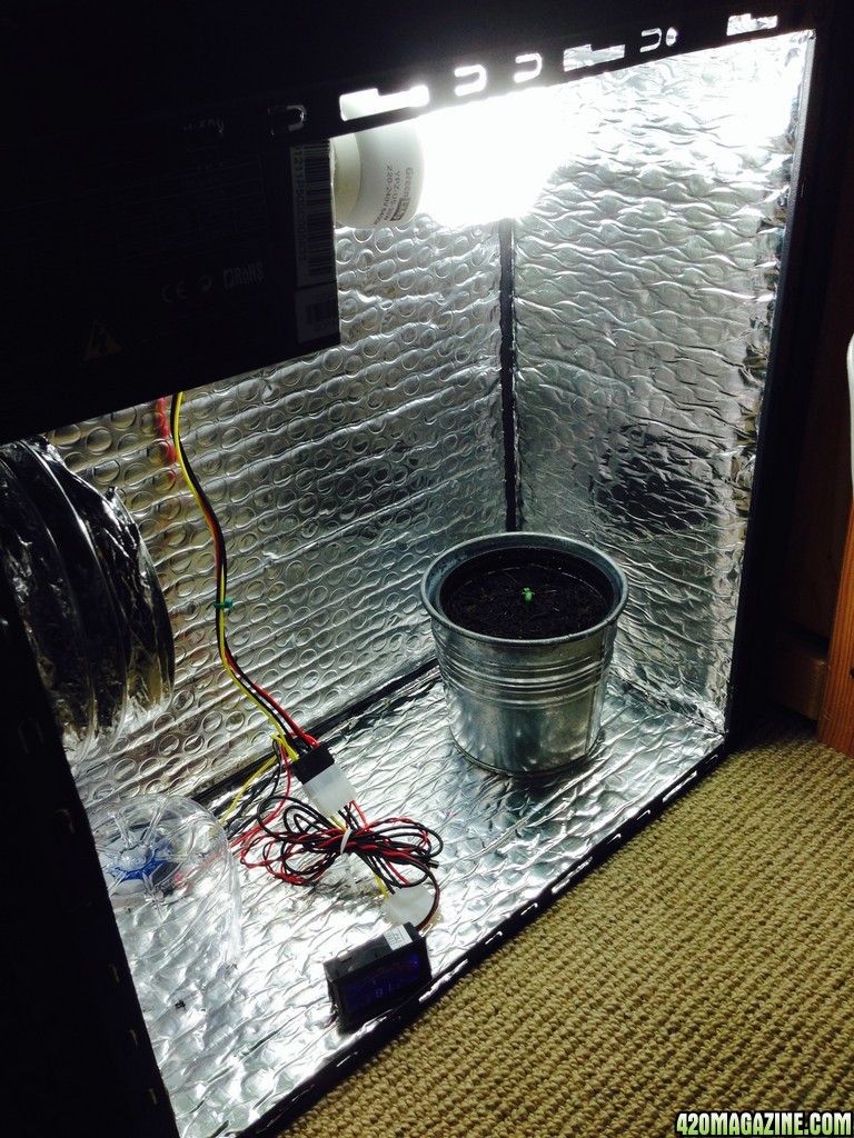 growbox_day_2