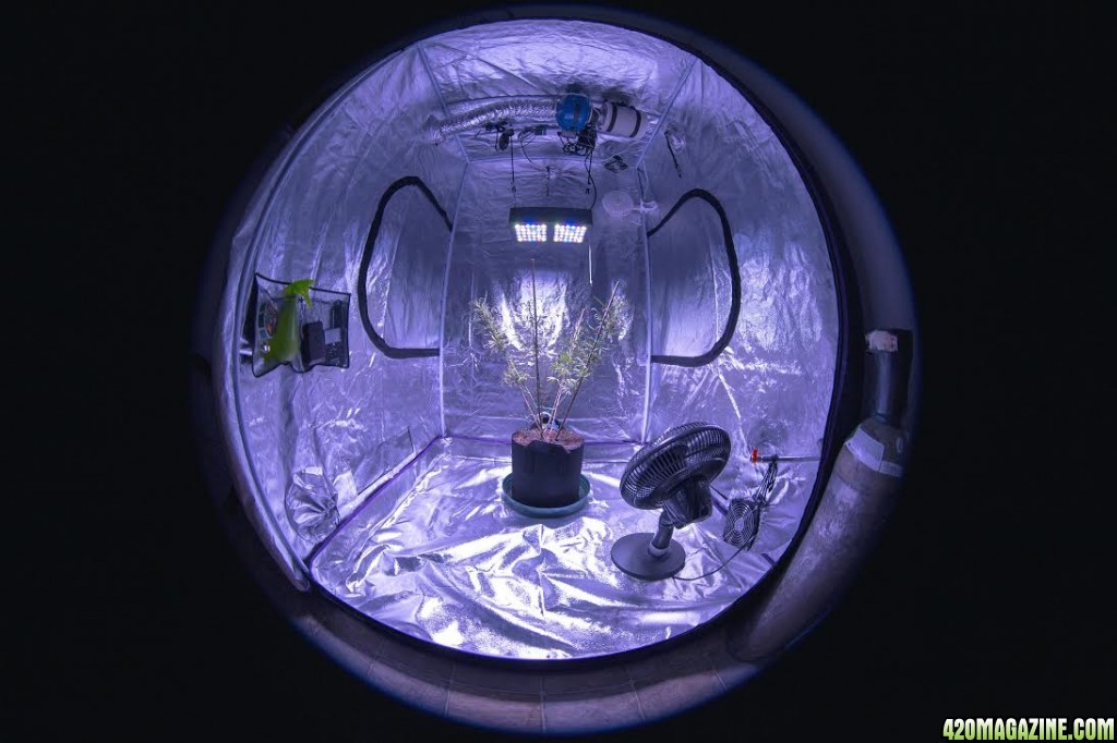 Growspace