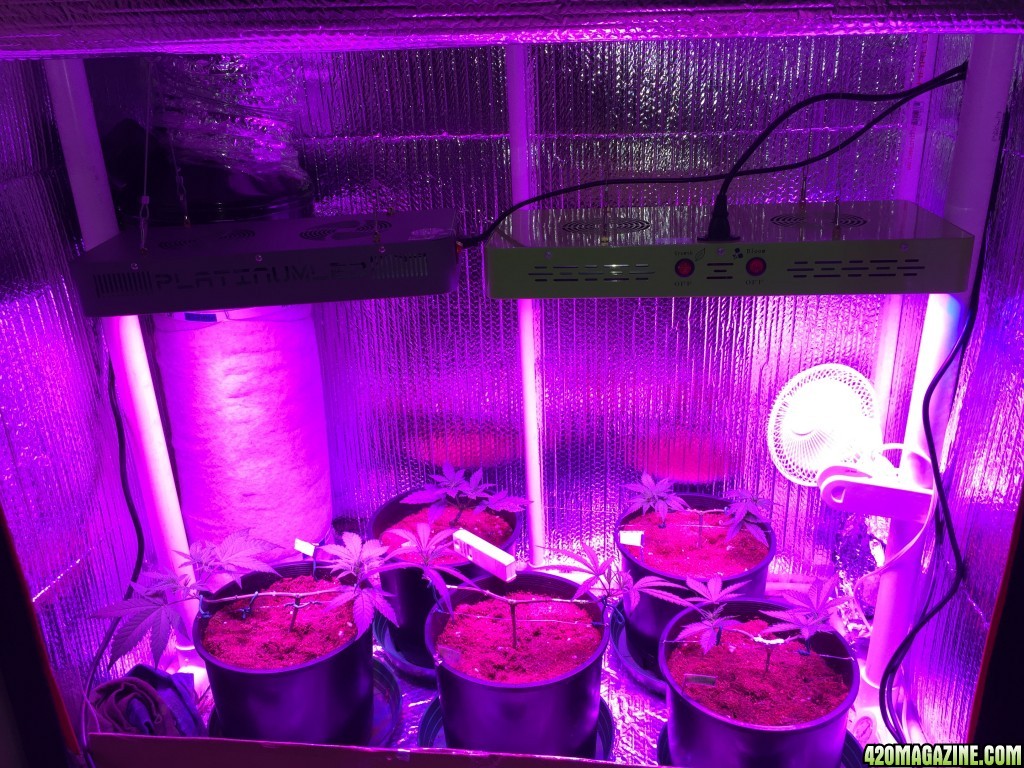 growspace1