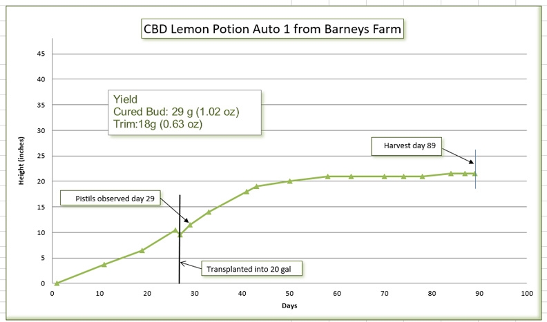 Growth chart 08.jpg