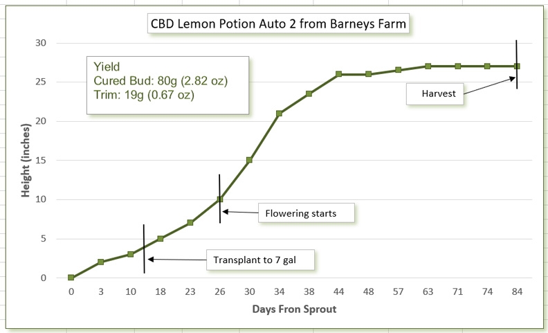 Growth chart 09.jpg