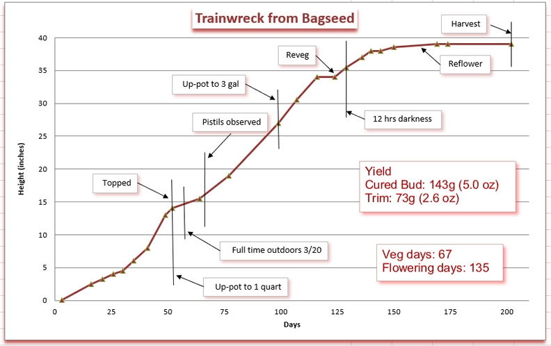 Growth chart 12.jpg