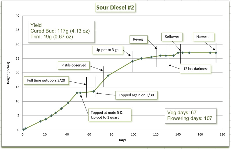 Growth chart 13.jpg