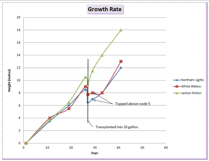 Growth chart.jpg