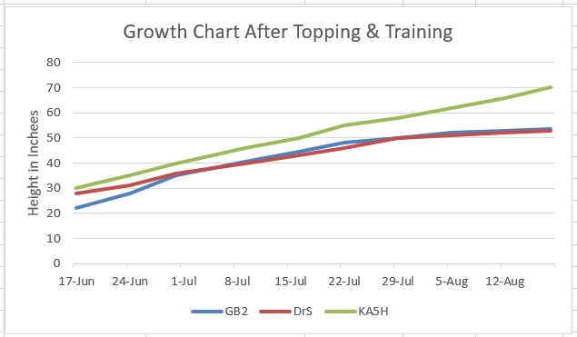 Growth Chart.jpg