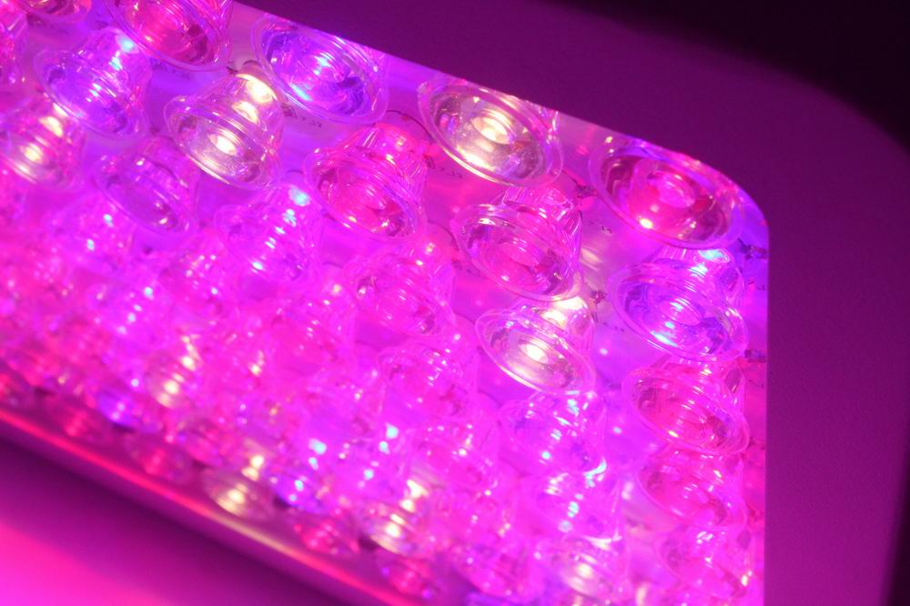 GS 300, GS 600 LED GROW LIGHT