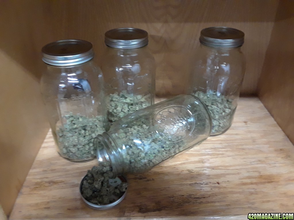 gsc_jars