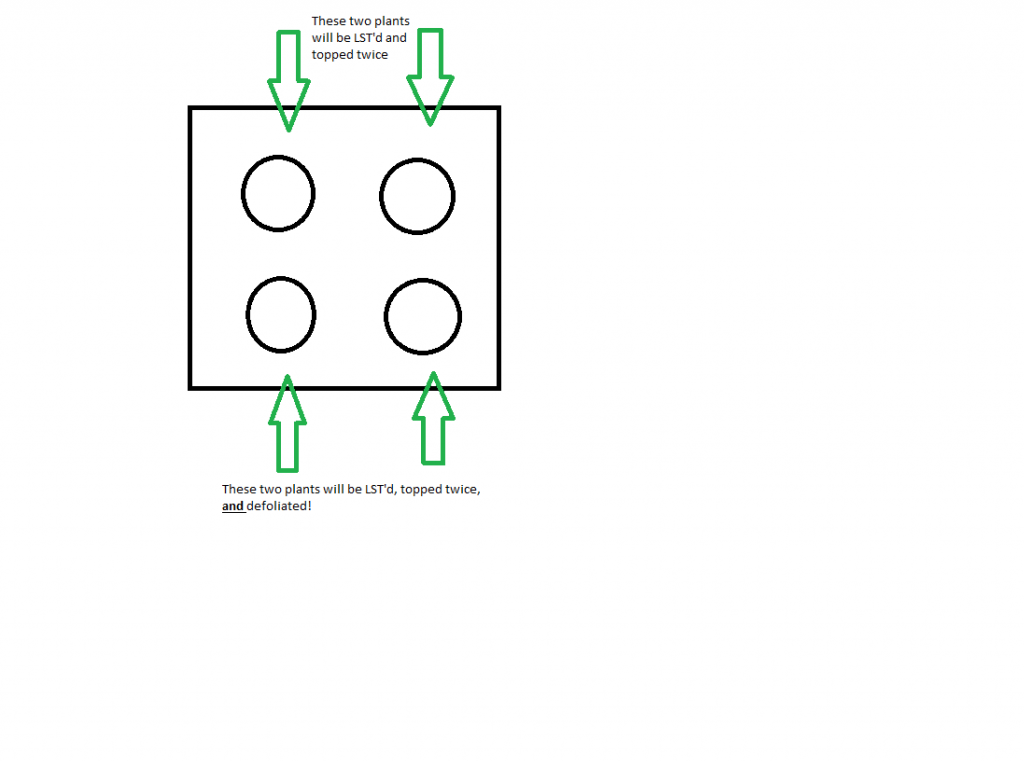 GSC_tent_overhead