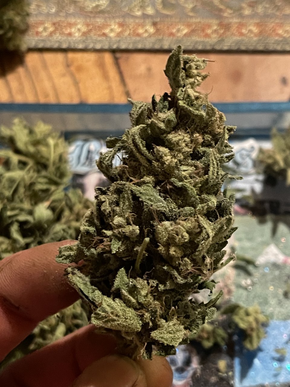 Guava kush