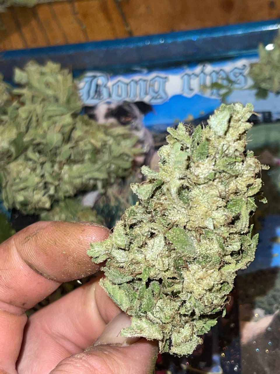 Guava kush