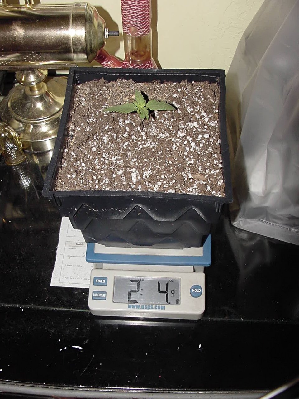 guawi_pot_weight_1.jpg