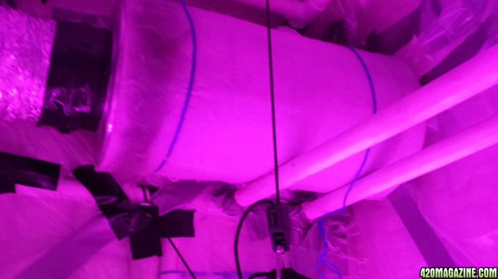 Guesstimators 2ND GROW V2.0 ZNET LED