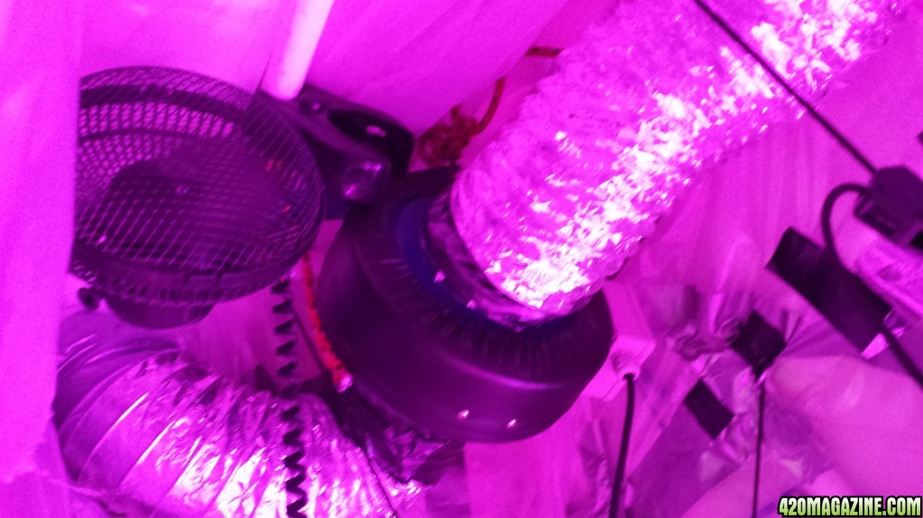 Guesstimators 2ND GROW V2.0 ZNET LED