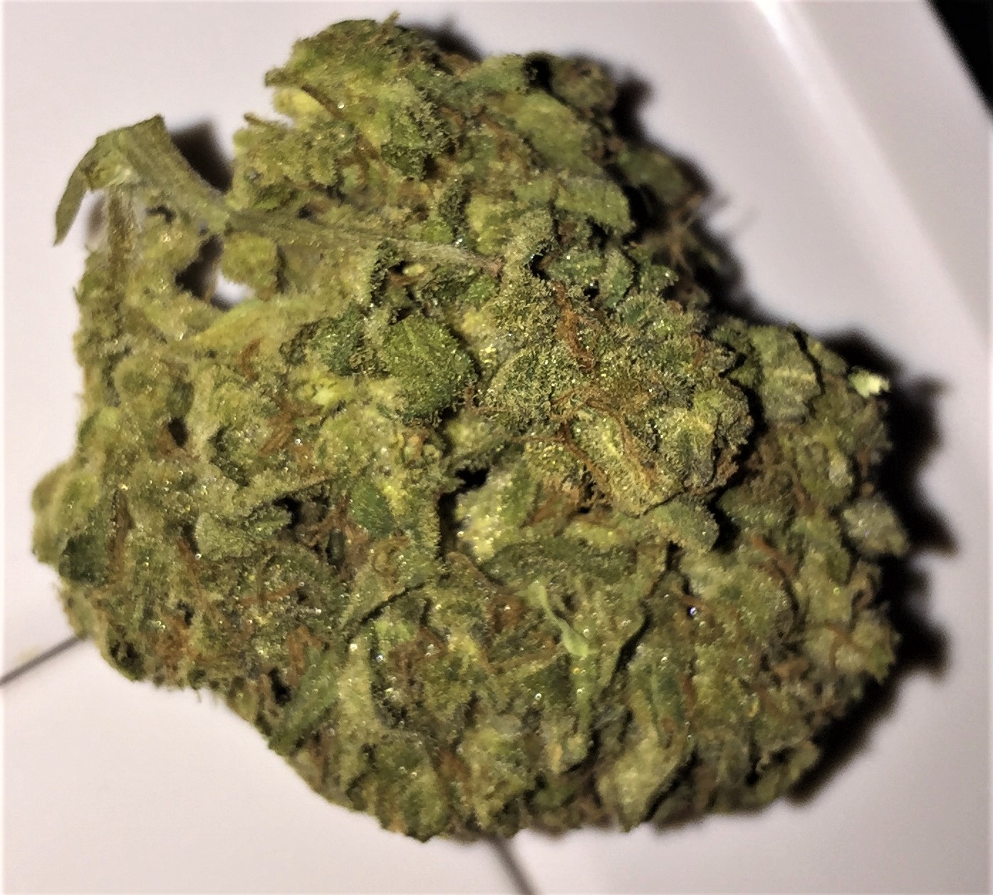 GZ final bud smoke report closeup.jpg