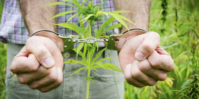 handcuffs and plant