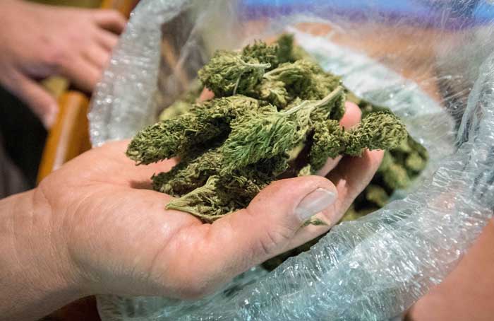 Handful of Bud3 - Getty Images